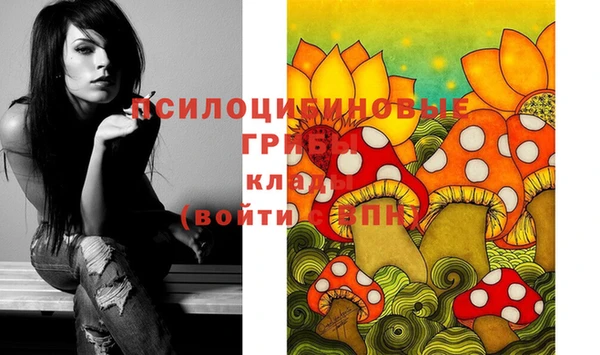 прущие крисы Пенза