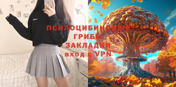 мяу мяу мука Гусь-Хрустальный