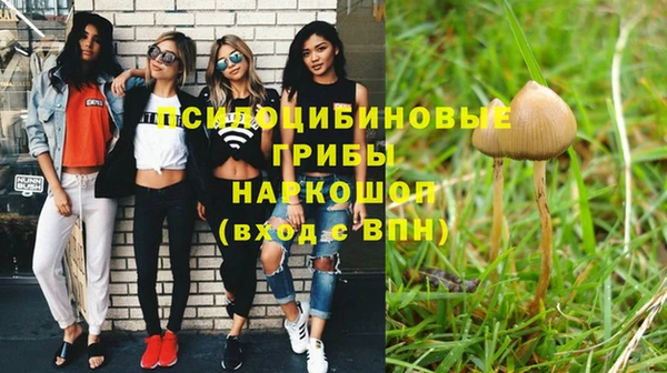 амфетамин Гусиноозёрск